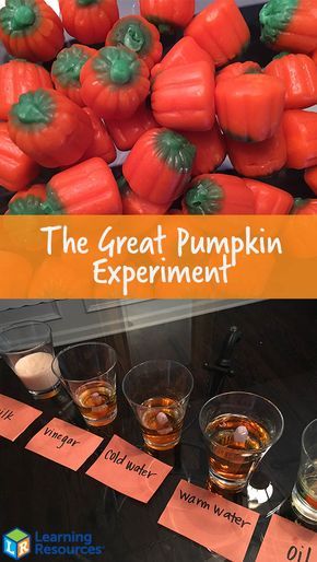 Pumpkin Science Experiment, Pumpkin Science, Pumpkin Unit, Fall Science, Halloween Stem, Stem Experiments, Halloween Science, Science Experiments For Preschoolers, Pumpkin Activities