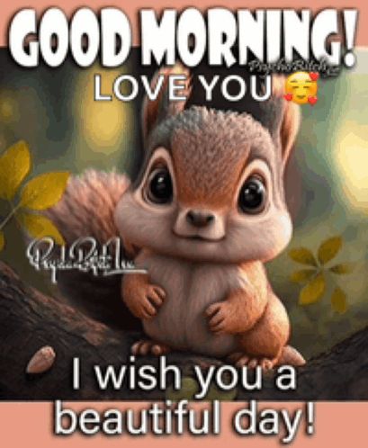 Click to view the GIF Good Morning Squirrel, Good Morning Luv, Good Morning Hugs, Good Morning Gifs Funny, Funny Good Morning Pics, Funny Good Morning Greetings, Good Morning Monday Quotes, Cute Good Morning Pictures, Good Morning Gifs