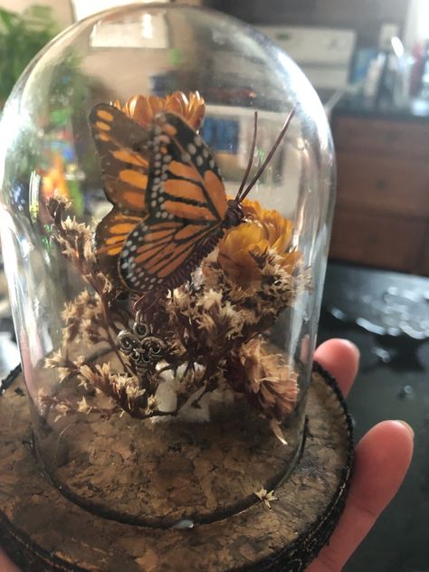 Floral Terrarium, Oddities Decor, Cloche Decor, Taxidermy Decor, Butterfly Taxidermy, Insect Taxidermy, Mini Terrarium, Butterfly Crystal, Taxidermy Art