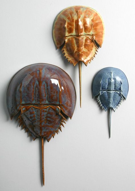 Ceramic Horseshoe, Horseshoe Crab, Sculptures Céramiques, Keramik Design, Ceramics Pottery Art, Crustaceans, Martha's Vineyard, Clay Art Projects, Ceramics Ideas Pottery