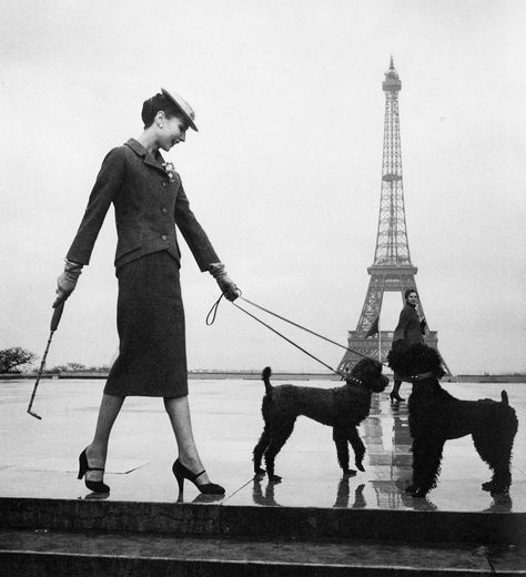 Renée Breton in elegant suit by Christian Dior, photo by L… | Flickr Loving Photography, Pic Wall, Veronica Lake, Woman Walking, Cecil Beaton, Paris Vintage, Paris Mode, Richard Avedon, I Love Paris