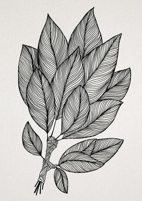 Leaves | Dindondesigns Zantangle Art, Fineliner Art, Doddle Art, Drawing Step By Step, Pen Art Drawings, Zen Doodle Art, Flower Art Drawing, Doodle Art Drawing, Drawing Step