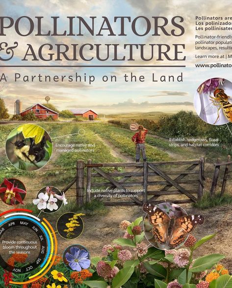 Pollinator Partnership’s Instagram post: “IT'S HERE! 🎉🎉 The 2021 Pollinators and Agriculture Poster is now available for pre-order at the link in our bio. SWIPE to see the full…” Agriculture Poster, Native Plants, Agriculture, Garden Plants, Pre Order, Instagram Post, Instagram Posts, Plants, Instagram