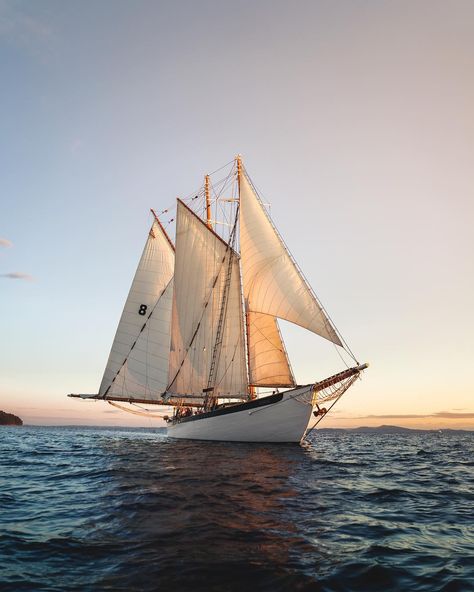 Ships Photography, Schooner Ship, Photography Career, Sailing Trips, San Juan Islands, Going Fishing, Sailboats, Boating, Sailing Ships