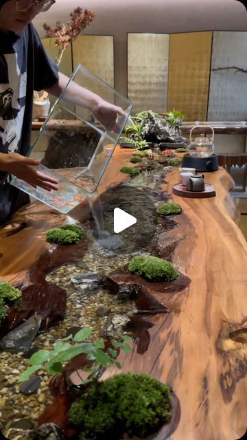 XimuTeahouse on Instagram: "Change the fish to a larger pond. This table has a filtration system for raising fish.#teatable #table #coffeetable #diningtable #fish #woodentable #desk #carpentry #fishculture #drinktea #tealife #tearoom #handmade" Raised Pond, Here Comes The Sun, Fish Pond, The Fish, Here Comes, Tea Table, Gardening Ideas, Tea Room, Wooden Tables