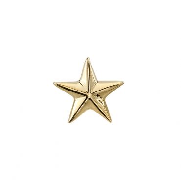 Gold Png Aesthetic, Ig Scrapbook, Star Png, 브로셔 디자인, Nautical Star, Digi Scrapbooking, Gold Stickers, 3d Star, Iphone Organization