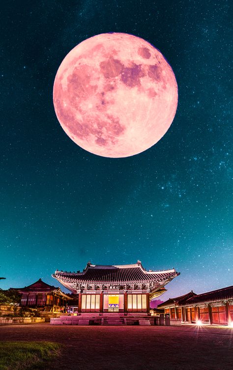 Korean Night, Night Views, Animation Classes, Dove Pictures, Korea Wallpaper, South Korea Seoul, Neon Style, Famous Monuments, Sky Lanterns