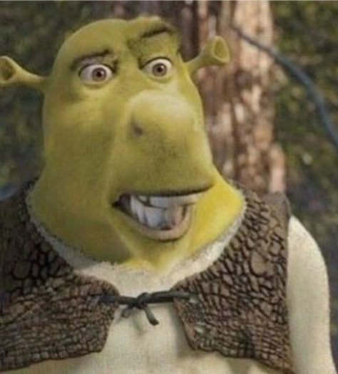 Shrek Cursed, Cursed Shrek, Shrek Images, Paintball Arena, Shrek Funny, Desi Jokes, Clean Memes, Awesome Wallpapers, Sharp Teeth