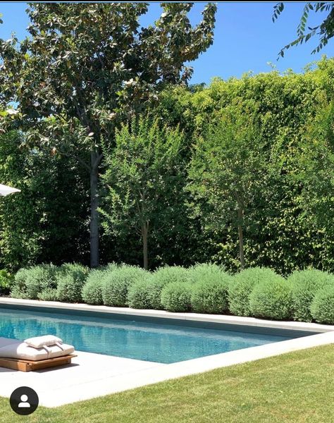 Backyard Pool Design, Dream Backyard Pool, Pools Backyard Inground, Pool Landscape Design, Small Pool Design, Backyard Pools, Backyard Pool Landscaping, Small Pools, Dream Pools