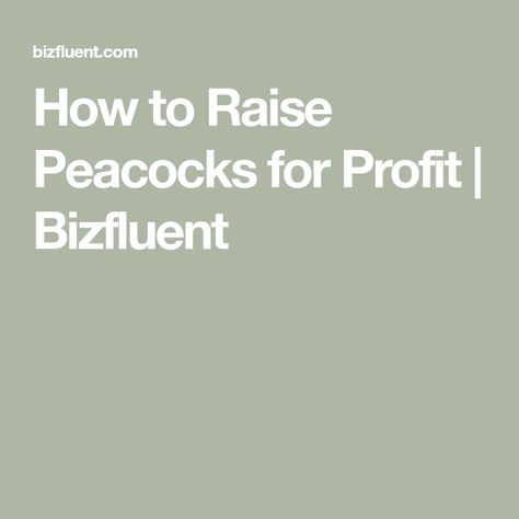 How to Raise Peacocks for Profit | Bizfluent Raising Peacocks, Yard Planning, Duck Farming, Iridescent Green, Market Value, Tail Feathers, Peacocks, The Birds, Coop