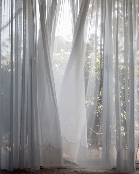 ahh An Open Window, Window View, White Curtains, Foto Art, Open Window, Through The Window, White Aesthetic, Sheer Curtains, Aesthetic Photography