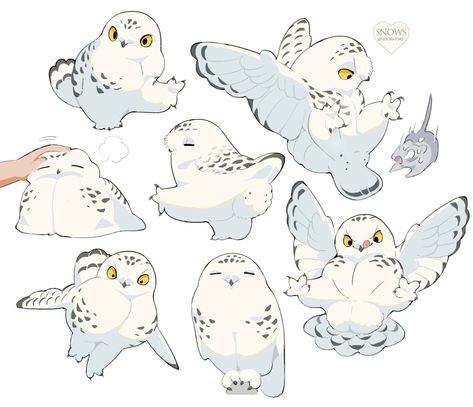 Snowy Owls, Regnul Animal, Creature Drawings, Mythical Creatures Art, Animal Sketches, Dessin Adorable, Arte Animal, Different Kinds, 영감을 주는 캐릭터