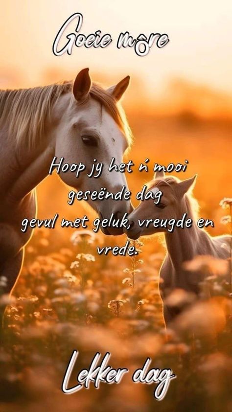 Afrikaanse Goeie Môre Lekker Dag, Goeie More Boodskappe, Geseende Dag, Good Morning Quotes Friendship, Good Morning Animals, Mare And Foal, Good Morning Wishes Gif, Lekker Slaap, Morning Wallpaper