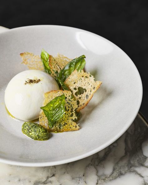 Burrata with croutons and nettle and basil pesto Burrata Fine Dining, Pesto Pasta Plating, Burrata Plating, Burrata Balsamic, Gourmet Pasta Plating, Tomatoes With Burrata, Burrata Recipes, Nettle Pesto, Burrata Appetizer