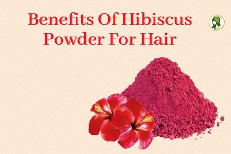 Benefits of Hibiscus Powder Benefits Of Hibiscus For Hair, Hibiscus Powder For Hair, Benefits Of Hibiscus, Hibiscus Powder, Herbs For Hair, Stronger Hair, Essential Oil Diffuser Blends, Oil Diffuser Blends, Natural Herbs