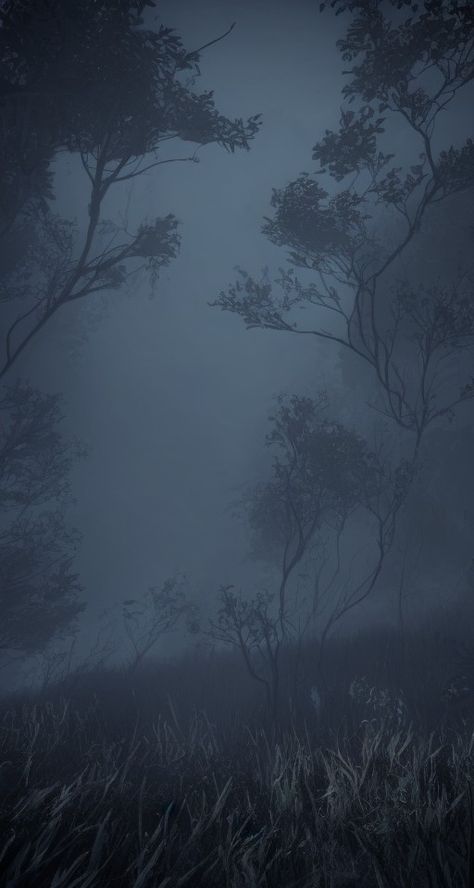 Stormy Night Wallpaper, Dark Snowy Forest Aesthetic, Ominous Wallpaper, Dark Ambient Wallpaper, Dark Ambient Aesthetic, Rainy Forest Wallpaper, Ambient Wallpaper, Stormy Wallpaper, Blue Forest Wallpaper