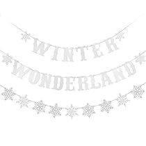 Winter Wonderland-party, Snowflake Banner, Winter Baby Shower Decorations, Wonderland Party Decorations, Christmas Snowflakes Decorations, Snowflake Party, Winter Wonderland Decorations, Winter Holiday Party, Winter Wonderland Baby Shower