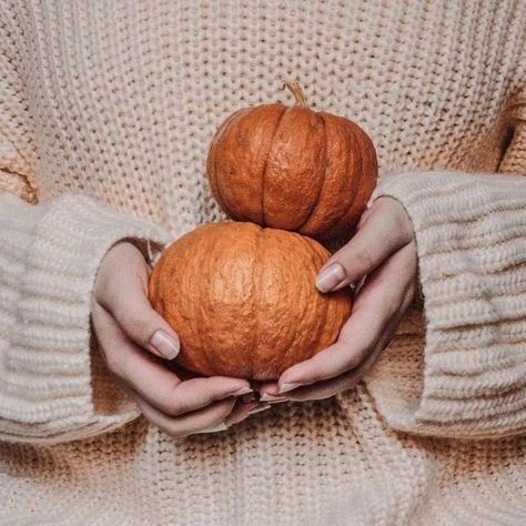 Pumpkin Photography, Rainy Day Aesthetic, Fall And Halloween, Autumn Scenes, Instagram Ideas Photography, Fall Photoshoot, Wrap Bracelets, Fall Pictures, Gold Necklaces