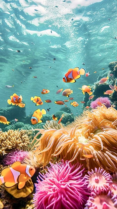 Underwater Ocean Wallpaper, Under Sea Photography, Underwater Photography Nature, Coral Reef Images, Coral Reef Mural, Coral Reef Photography Landscape, Coral Reef Photography Ocean Life, Underwater Life Photography, Underwater Reference