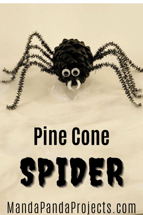 Craft Spider, Halloween Spider Craft, Realistic Paper Flowers, Spider Craft, Pinecone Crafts, Halloween Costumes To Make, Halloween Crafts Preschool, Halloween Craft Projects, Spider Crafts