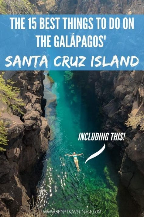 Here are the 15 best things to do on the Galápagos' Santa Cruz Island, including a day trip, diving spots, beautiful beaches, lava tunnels, and my personal favorite, Las Grietas. Click to read now to plan your trip to Santa Cruz! Santa Cruz Galapagos Islands, Santa Cruz Galapagos, Galapagos Shark, Galapagos Islands Travel, Santa Cruz Island, Famous Food, Ecuador Travel, Tech Blog, Colorado Skiing