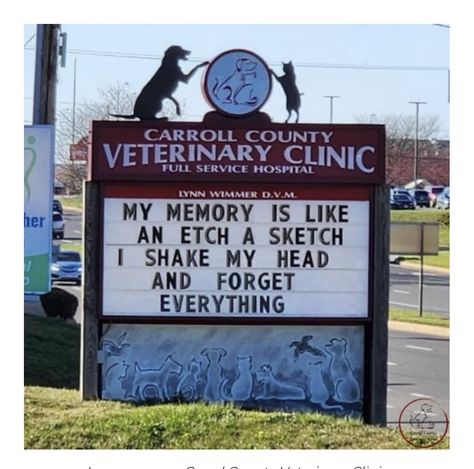 Letter Board Ideas, Funny Billboards, Roadside Signs, Carroll County, Veterinary Services, Best Puns, Vet Clinics, Veterinary Hospital, Drawing Games