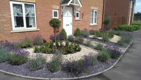 Lavenders and slate for formal small front garden with bay tree centre and cobble path Lavender Front Garden Ideas, Front Garden Chippings Ideas, Slate Front Garden, Lavender Front Garden, Low Maintenance Front Garden Ideas Uk, Small Front Garden Ideas Low Maintenance, Slate Garden Ideas, Gravel Front Garden, Gravel Front Garden Ideas