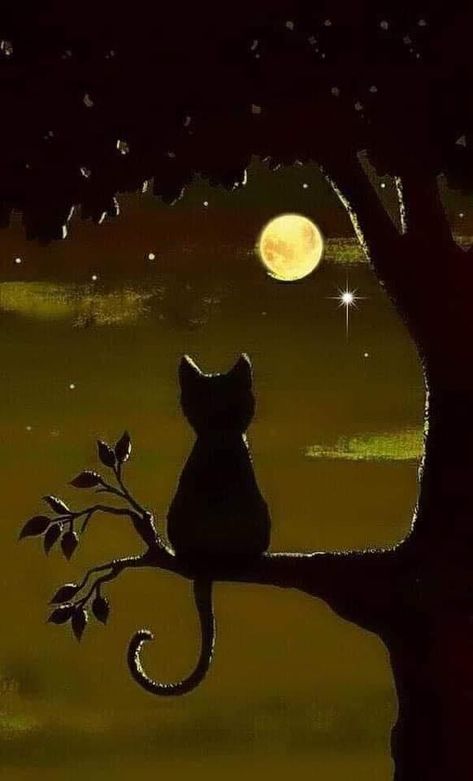 How To Draw Cat Silhouette, Silhouette Chat, Cats Art Drawing, Image Chat, Black Cat Art, Cat Silhouette, Cat Owner, Cat Posters, Useful Tips