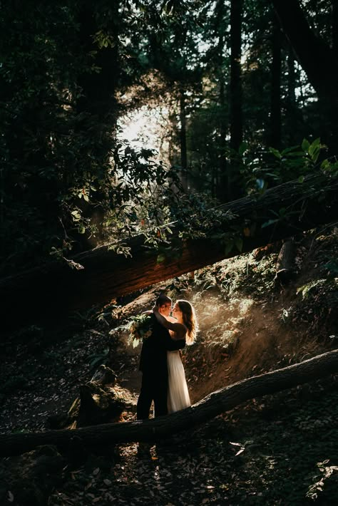 Romantic Forest Aesthetic, Romantic Forest Photoshoot, Dark Forest Elopement, Enchanted Forest Elopement, Forest Pre Wedding Photoshoot, Forest Ceremony Wedding, Wedding Forest Photography, Forest Elopement Dress, Enchanted Forest Photoshoot Couple