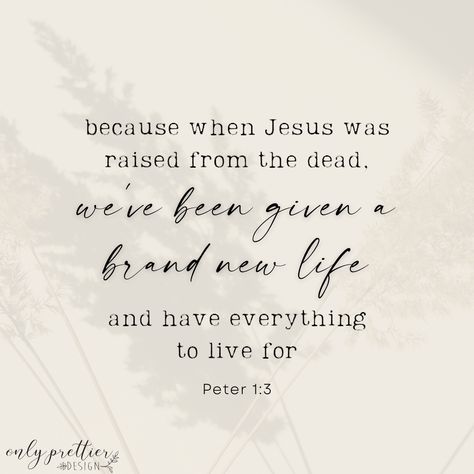 Easter is here! We are forever grateful for this resurrection day that has given us new purpose and a lifetime of promises! This day 2000 years ago changed life as we know it today… and now we have everything to live for! ☀️ The Empty Tomb, Life As We Know It, We Are Forever, Empty Tomb, Resurrection Day, Bible Verses For Women, Inspirational Quotes For Women, Forever Grateful, Faith Based