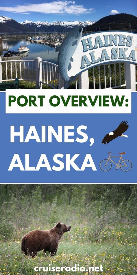 port overview haines alaska #alaska #cruise alaska cruise tips #travel #cruising Alaskan Cruise Ports, Alaska Without A Cruise, Alaskan Cruises, Alaska Excursions Cruise Ships, Skagway Alaska Cruise Port, Sitka Alaska Cruise Port, Alaska Travel Cruise, Alaska Cruises, Alaska Cruise Excursions