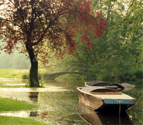 Lady Margaret Hall grounds in Oxford | The woodland area which sits at the bottom of the Fellows garden overlooking the river Cherwell is a lush green space surrounded by trees creating a canopy . Media Images, Green Space, Lush Green, The River, Fire Pit, Lush, Tree Trunk, Oxford, England