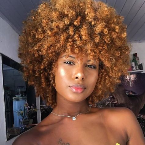 Naturally Melanin Hair on Instagram: “Curly Afro �💛  Follow @naturallymelaninn for more!👑🔥 🌻 ✶✶✶✶ 🎥: @vthaynaa  #naturalhair #coilyhair #melanin #ponytail #natural…” Afro Blonde Hair, Blonde Afro Hair, Afro Hair Black Women, Honey Blonde Afro, Blonde Afro, Blonde Natural Hair, Honey Blonde Hair Color, New Natural Hairstyles, Blonde Natural