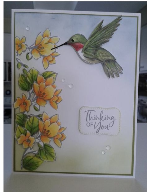 Thoughtful Expressions, Lavinia Stamps, Bird Cards, Building Ideas, Butterfly Cards, Stamping Up Cards, Business Building, Ink Stamps, Get Well Cards