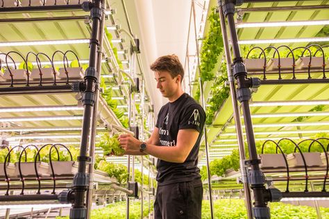 At V-Farm we believe the answer lies upwards. By farming vertically indoors we can reduce the need for agricultural land.  It is now easy to become a V-farmer, we are using the latest hydroponic equipment mix with innovative LED lighting and environmental handling equipment to deliver a completely controlled growing environment.  This photo shows Jonny checking the lettuces. They are looking nice and were so tasty 😋.  #greentechnology #innovation #hydroponic #horticulture #business #technology Controlled Environment Agriculture, Smart Farm, Agricultural Land, Green Technology, Hydroponic Gardening, Business Technology, How To Make Bread, Hydroponics, Indoor Garden