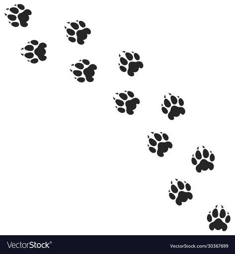 Lion Paw Tattoo, Tiger Paw Tattoo, Lion Paw Print, Paw Print Silhouette, Animal Icon Design, Paw Sketch, Paw Illustration, Paw Print Background, Tiger Paw Print