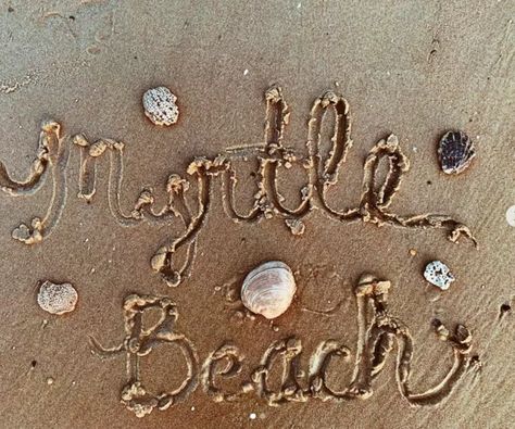 Shelling in Myrtle Beach 101: Finding the Best Seashells | Visit Myrtle Beach Fall Getaways, Beach South Carolina, Myrtle Beach South Carolina, Share Your Story, Summer Trip, Not Ready, Myrtle Beach, Summer Travel, Photo Contest