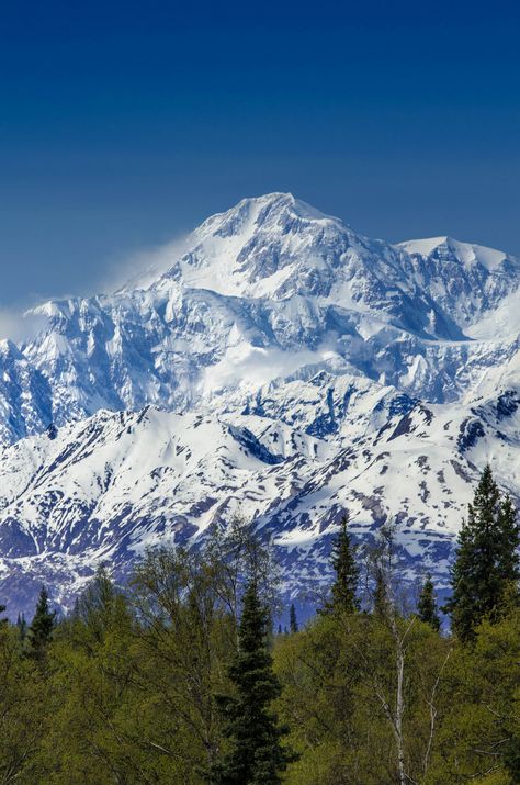 Mount Mckinley, Alaska, Explore Mt Mckinley Alaska, Mt Denali, Mount Denali, Talkeetna Alaska, Mount Mckinley, Alaska Photography, Visit Alaska, Alaskan Cruise, Denali National Park