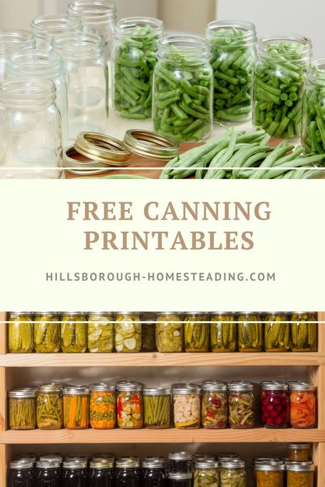 free canning printables Canning Preserves, Canning Veggies, Biodynamic Gardening, Canning Meat, Homestead Diy, Food Preserving, Modern Homestead, Canning Ideas, Produce Storage