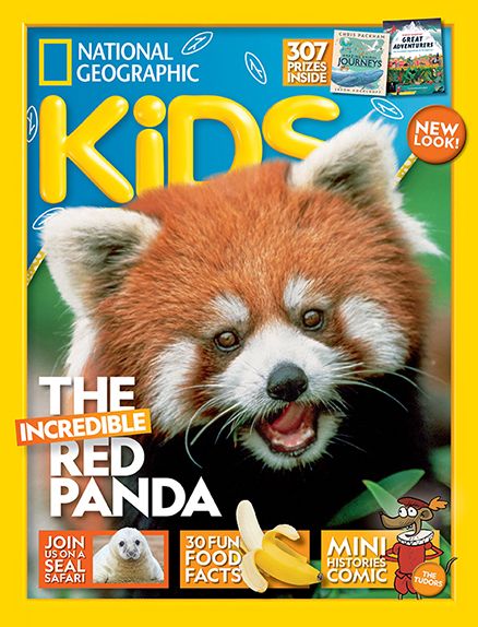 National Geographic KiDs brings children their own version of National Geographic for a true walk on the wild side! Filled with animals, nature and heaps of fun, a National Geographic KiDs magazine subscription offers inspiration for creepy crawly craft projects and a closer look at exotic creatures and places around the globe. Bring the great outdoors inside and under your child’s nose with a National Geographic KiDs magazine subscription!  #kidsmagazine #natgeo #wellness #eco #environment National Geographic Kids Magazine, Spider Fact, Animal Magazines, Kids Magazine, Eco Kids, National Geographic Kids, National Geographic Magazine, Cool Magazine, Magazine Cover Design