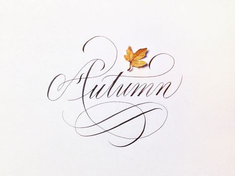 Dribbble - Autumn by Joan Quirós Copperplate Calligraphy, Lovely Smile, Calligraphy Letters, Autumn Beauty, Happy Fall, Hello Autumn, Autumn Inspiration, Fall Thanksgiving, Autumn Home