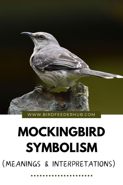 Dive into the world of mockingbird symbolism, from dreams to tattoos, totems to spiritual significance. Get a closer look at the varied meanings and interpretations of the territorial behaviors and amazing mimicking abilities of these songbirds. Mockingbird Spiritual Meaning, Mockingbird Tattoo Men, Mockingbird Meaning, Mockingbird Symbolism, Mockingbird Tattoo, Songbird Tattoo, Mocking Birds, Bird Facts, Stuck In Life