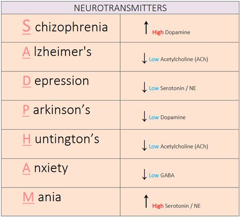 Neurotransmitters Notes, Abnormal Psych Notes, How To Take Psychology Notes, Biological Psychology Notes, Neuroscience Books To Read, Psych Nursing Notes, Eppp Study Guide, Neuropsychologist Aesthetic, Psychiatry Notes