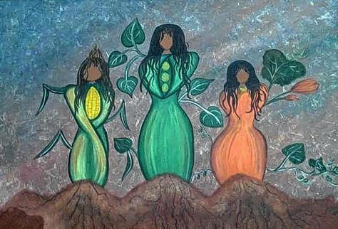 Planting corn, beans and squash together is an ancient tradition with modern applications. Learn why this combination is so powerful to plant together! Planting Corn, The Three Sisters, Sisters Art, Small Backyard Gardens, 3 Sisters, Homestead Survival, Native Garden, Three Sisters, Companion Planting