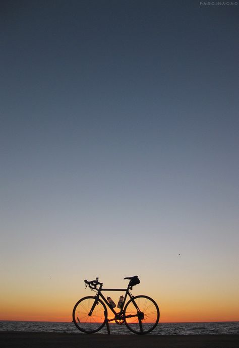 Bike Sunset, Road Bike Photography, Bicycle Aesthetic, Bici Fixed, Sepeda Fixie, Bicycle Photography, Cycling Pictures, Bike Aesthetic, Cycling Photography