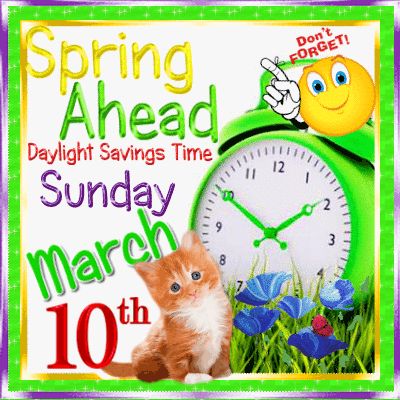 Daylight Savings Time, Spring Ahead! Spring Ahead Time Change, Daylight Savings Time Spring, Daylight Savings Time Humor, Cute Reminder, Spring Ahead, Daylight Saving Time, Time Change, Daylight Saving, Propose Day