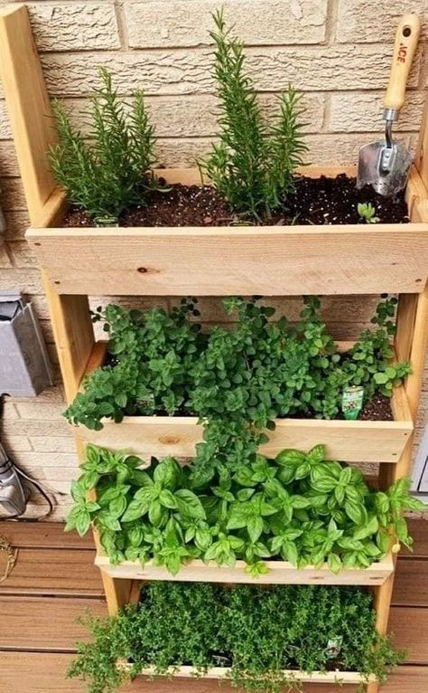 (1) Facebook Herb Garden Apartment, Windowsill Herb Garden, Herb Garden Planter, Easy Patio, Hanging Herb Garden, Garden Apartment, Colorful Planters, Herb Garden Design, Eco Friendly Garden