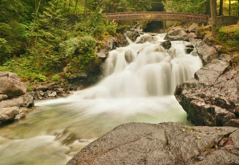 Deception Falls, Washington. Travel Bucket List, Travel Bucket, Photo Collection, Bucket List, Washington, Water, Travel