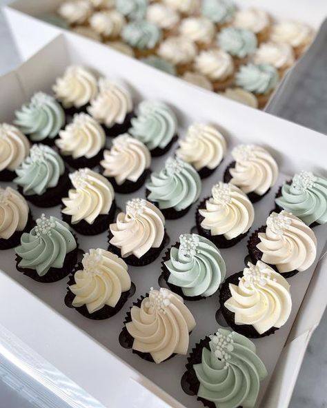 S U G A R S T O P on Instagram: "Green and cream mini cupcakes. #SugarStop #babyshower #cupcakes #cookies #doughnuts #buttercream #fondant #cupcakebox #cupcakedecorating #icing #sprinkles #homemade #cupcakelover #cupcakesofinstgram #cookielover #doughnutlover #cookiesofinstagram #doughnutsofinstagram #hillsdistrictbusinessmums" Sage Green Cupcake Ideas, Cupcake Neutral Colors, Blue And Green Wedding Cupcakes, Dark Green Wedding Cupcakes, Sage Green Birthday Cupcakes, Green And Gold Cupcakes Wedding, Sage Green And White Cupcakes, Sage Green Cupcakes Wedding, Gender Neutral Baby Shower Cupcakes