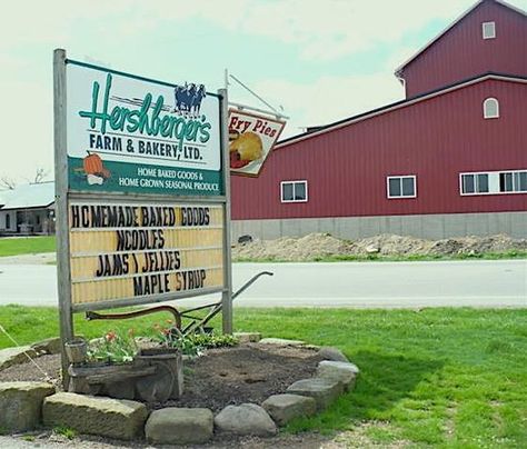 This lovely Millersburg farm and bakery is the perfect day trip destination or stop when you're exploring Ohio's Amish Country. Day Trips In Ohio, Farm Bakery, Millersburg Ohio, Amish Country Ohio, Ohio Destinations, Ohio Vacations, Farm Town, Ohio Travel, What To Do Today